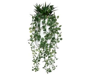 JJA Composition Plante GRASSE RETOMBANTE 33CM