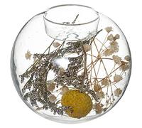 JJA - PHOTOPHORE Verre Fleurs SÉCHÉES Folk