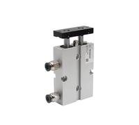 JJHQOKYNA Vérin pneumatique à Double Tige TN10, alésage 10 mm, Course 10-100 mm, avec Aimant, TN10X10S, TDA10X30S, TN10X50S(TN10X100S)