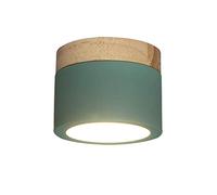 JJJ Lighting Plafonnier Entrée Pass Lumière Hall Lumières Downlight Balcon Vestiaire Petit Plafonnier Allée Couloir Plafond Rond LED Mural Downlight (Color : Green-A)