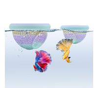 JJMOLLE Lot de 2 cachettes flottantes et mangeoires Betta - Décoration d'aquarium dégradée arc-en-ciel en 3D - Grandes et petites grottes de crevettes pour Betta, Guppy et petits animaux aquatiques