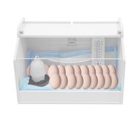 JJsdwin Boîte d'élevage de poussins pour hamster avec éclairage pour lézards, geckos et hamsters, capacité d'environ 20 poussins