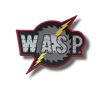 JJTEXTIX Patch brodé thermocollant motif guêpes - Taille unique - Jaune et noir - Western - Animal