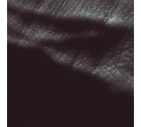 Jk Flesh - Posthuman [Import allemand]