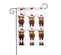 JKDGOJ Drapeau de jardin « Merry Christmas » - Convient pour toutes les saisons - 30,5 x 45,7 cm