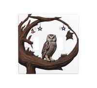 JKDGOJ Image de chouette sous le ciel étoilé Panneau mural décoratif 11,4 x 11,4 cm adapté aux prises qui ne sont pas facilement endommagées