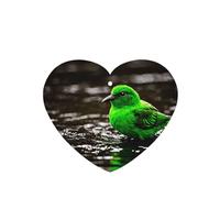 JKDGOJ Kingfisher Lot de 6 désodorisants de voiture en forme de cœur avec accessoires de voiture à suspendre