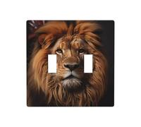 JKDGOJ The Lion's Gaze Image Panneau mural décoratif 11,4 x 11,4 cm adapté aux prises qui ne sont pas facilement endommagées