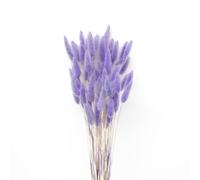 JKDHJK 50 Pcs Herbe De La Pampa Fleurs Séchées Ne Se Fanent Jamais - Fleur Séchée Décoration Naturelle Boheme - Fleurs Déco Anniversaire, Mariage, Maison (Violet Clair)