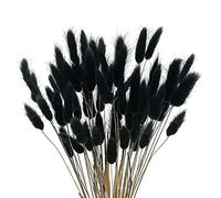 jklashfi Lot de 60 fleurs séchées d'automne - Fleurs séchées - Lagurus, Ovatus - Queue de lapin - Herbe pour fleurs séchées (noir)