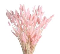 jklashfi Lot de 60 Fleurs Séchées d'Automne - Lagurus, Ovatus - Queue de Lapin - Herbe pour Fleurs Séchées (Rose)