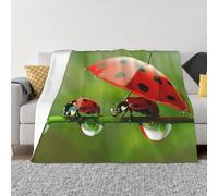 JKLQWC Couverture en flanelle, légère, douce et chaude, pour canapé, lit, voiture - Motif coccinelle amusante - 100 x 125 cm