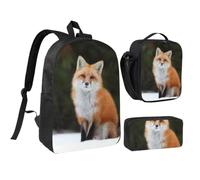 JKLQWC Lot de 3 sacs à dos d'école avec sac à déjeuner isotherme et trousse à crayons pour étudiants, adolescents, filles, garçons - Vert - 43,2 cm, Funny Fox, One Size, Sac à dos daypack