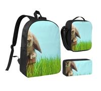 JKLQWC Lot de 3 sacs à dos d'école avec sac à déjeuner isotherme et trousse à crayons pour étudiants, adolescents, filles, garçons - 43,2 cm - Vert à pois, Lapin sur gazon vert, One Size, Sac à dos