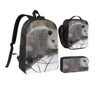 JKLQWC Lot de 3 sacs à dos d'école modernes avec sac à déjeuner isotherme et trousse à crayons pour étudiants, adolescents, filles, garçons et filles - Rose gris blanc - 43,2 cm, Opossum in Snow, One