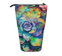 JKLQWC Trousse à crayons rétractable sur pied - Imprimé bateau pirate cool papeterie et trousse de maquillage pour voyage, école, bureau, cadeaux, Succulent coloré., Taille unique, Cartable