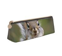 JKLQWC Trousse à crayons triangulaire imprimée bleu tortue de mer avec fermeture éclair - Organiseur en cuir léger pour l'école, le bureau, les voyages, le maquillage, Écureuil rouge., Taille unique