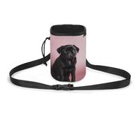 JKLQWH Sac de dressage pour animal domestique avec imprimé carlin noir mignon