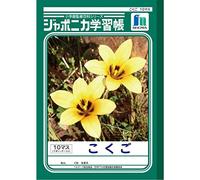 JL-8 Lot de 10 cahiers japonais d’écriture kanji