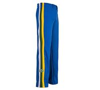 JL Sport Authentiques du Brésil Capoeira Arts Martiaux Pantalons Unisex (Bleu avec Le Brésil Couleurs Nationales Verticales Le Long du Dos des Rayures) - XL