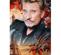 JLANEZS 5d diamant peinture point de croix Chanteur de Rock Johnny Hallyday kit de mosaïque diamant broderie passe-temps et artisanat travaux de coutur,M,30x40cm