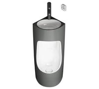 JLLEIZYZ Urinoirs pour Hommes, Fixation Murale Urinal, Robinet Pivotant, Résistant aux Odeurs, Design Mural, Adapté aux Petites Salles de Bain aux Espaces Commerciaux(Gray)