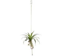 Jlobnyiun Hanging Station Frame - Countertop Desk Gear, Indoor Outdoor Portrait Visual, Practical Growth Logic, Elegant Decoration Quality, Heavy Alloy Unit Vessel, Garden | for Plant Enthusiasts