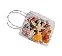 Jlobnyiun Small Sea Shells - Natural Sea Theme Craft Starfish Set For Vase