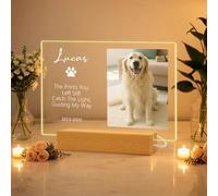 JLSKCN Cadeaux Commémoratifs Personnalisés pour Chien et Chat Cadeaux De Perte d'animaux Cadre Chien Personnalisé Panneau Commémorative Acrylique avec lumière avec Nom & Photo pour Chien Chat