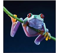 Jm-Déco Sticker boites aux Lettres Grenouille 30x30cm