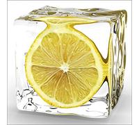 Jm-Déco Sticker Lave Vaisselle Citron Dimensions 60x60cm