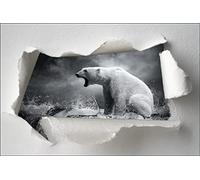 Jm-Déco Sticker Trompe l'oeil Ours Polaire Dimensions 30x20cm