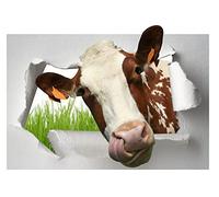 Jm-Déco Sticker Trompe l'oeil Vache Dimensions 60x40cm