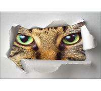 Jm-Déco Sticker Trompe l'oeil Yeux de Chat Dimensions 60x40cm