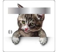 Jm-Déco Stickers boites aux Lettres Chat 30x30cm