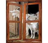 Jm-Déco Stickers fenêtre Trompe l'oeil Chèvres Dimensions 60x80cm