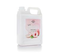 JMBT Sirop de Litchi, Fraise, de Grenade, de Péche et de Passion 2,5kg/Bidon - Livraison Gratuite France (1 bidon, Pêche)