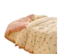 JMDNTQ Couette Toutes Saisons, Édredon Léger Et Respirant, Couverture Chaude pour Lit avec Garnissage Moelleux, Tissu Doux, Housse De Couette Confortable pour Chambre Maison