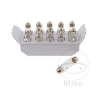 JMP Ampoule 12 V 10 W SV8.5-8