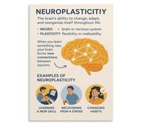 JMVLVLOA Brain Change Poster Neuroplasticity Explained For Decor | Simple language describes how brains grow stronger with challenges and study(Framed,16x24inch(40x60cm))