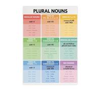 JMVLVLOA Educational Grammar Guide Metal Tin Sign Plural Nouns Rules Chart With Examples Visual Learning Tool For Classroom And Homeschool Teachers 8 X 12 in