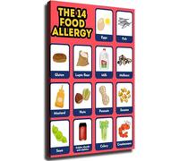 JMVLVLOA Healthy Eating Food Allergens Chart Complete Set Informative Wall-Art Essential Kitchen Decor for Living Room Bedroom Office(Framed,08x12inch(20x30cm))