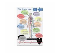 JMVLVLOA Oral Systemic Health Connection Metal Tin Sign Educational Chart on Mouth Body Link for Clinic Wellness Center Office Decor 8 X 12 in