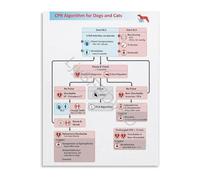 JMVLVLOA Small Animal CPR Algorithm Poster Veterinary Emergency First Aid Guide Resuscitation Reference Chart for Hospital Clinic Office 8 X 12 in