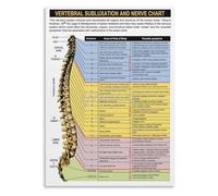 JMVLVLOA Spinal Cord and Nerve Network Anatomy Print Educational Biology Poster Scientific Wall Decor for Student Doctor Gift Idea 8 X 12 in