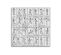 JMVLVLOA Tai Chi Form Guide Metal Sign 24 Simplified Yang Style Instructional Chart for Home Office Room Wall-Art (8 X 12 in)