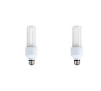 Jnchdghwa 2X Ampoule UVA/UVB pour Oiseaux 2,4 V UVB 20 W, Lampe Fluorescente Compacte pour Types d'oiseaux en Captivité B