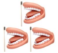 Jnchdghwa 3 Pièces Bouche Marionnette avec Langue Dents Bouche Marionnette à Main Dentaire Bouche Modèle avec Brosse à Dents pour Garçon Fille Outil Éducatif