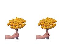 Jnchdghwa 40X Bouquet de Bouquet de Boule Jaune de Fleur Séchée, Véritable Bouquet de Plantes Séchées Fraîchement Récoltées, Décoration pour L'Artisanat de