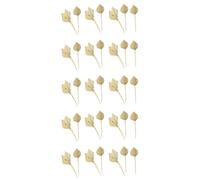 Jnchdghwa 50 PièCes SéRies Boho Séché Palm Spears Fans de Palmier Séchés Naturels Feuilles de Palmier SéchéEs Feuille de Palmier SéchéE Palm Fan Leaf avec Tige
